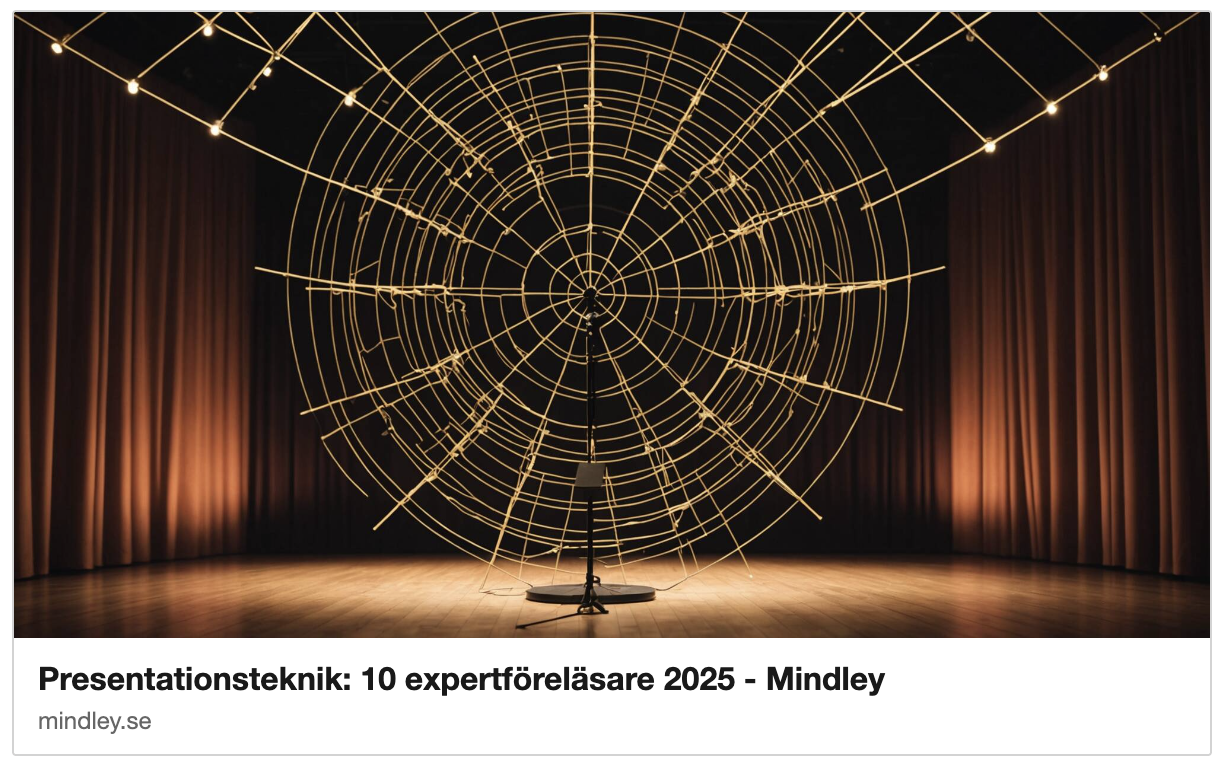 Bästa föreläsare retorik